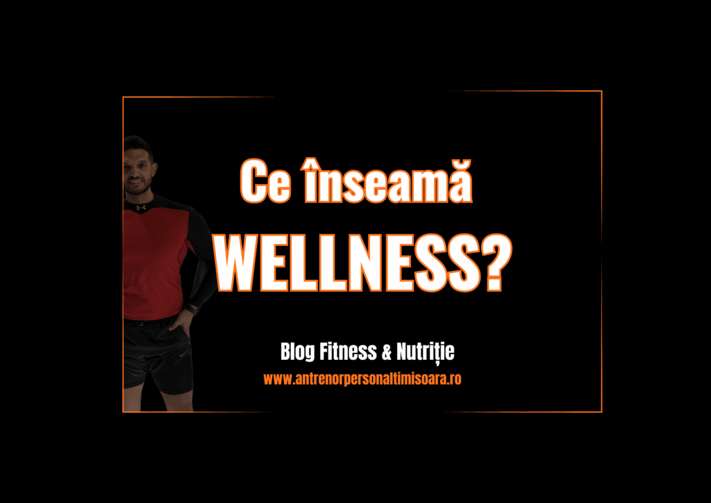 WELLNESS SI FITNESS PROGRAM CU ANTRENOR PERSONAL IN TIMISOARA SI ONLINE